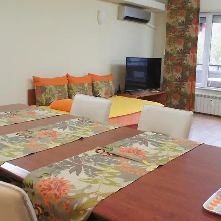 Vitosha Apartment